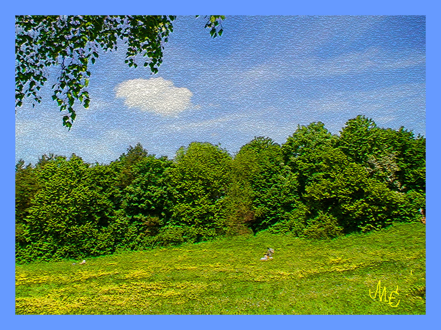 Frühlings Wiese