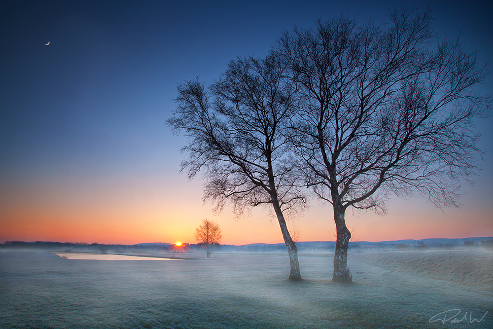 Frühlings-Winter