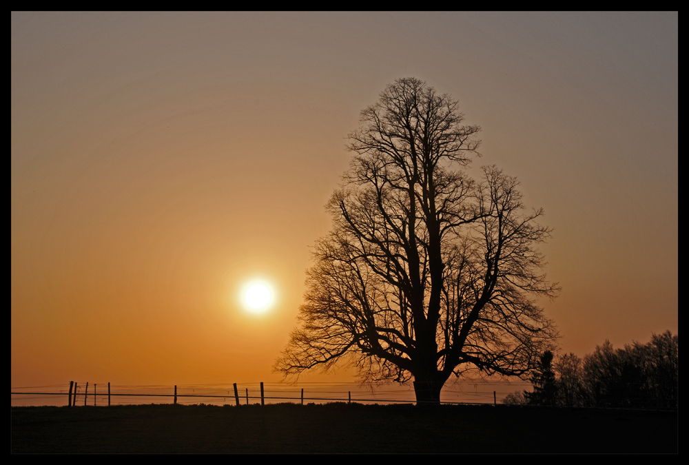 ...frühlingsabend #2...