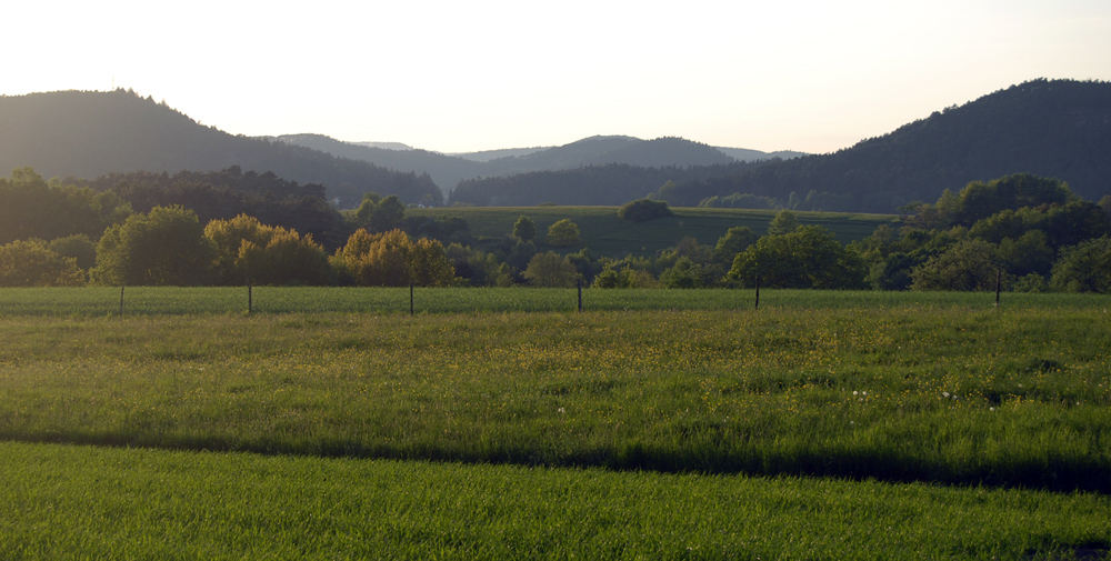 Frühlingsabend