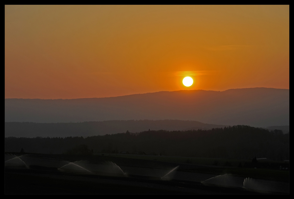 ...frühlingsabend #5...