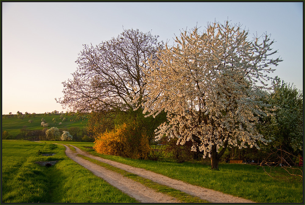 Frühlingsabend