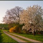 Frühlingsabend