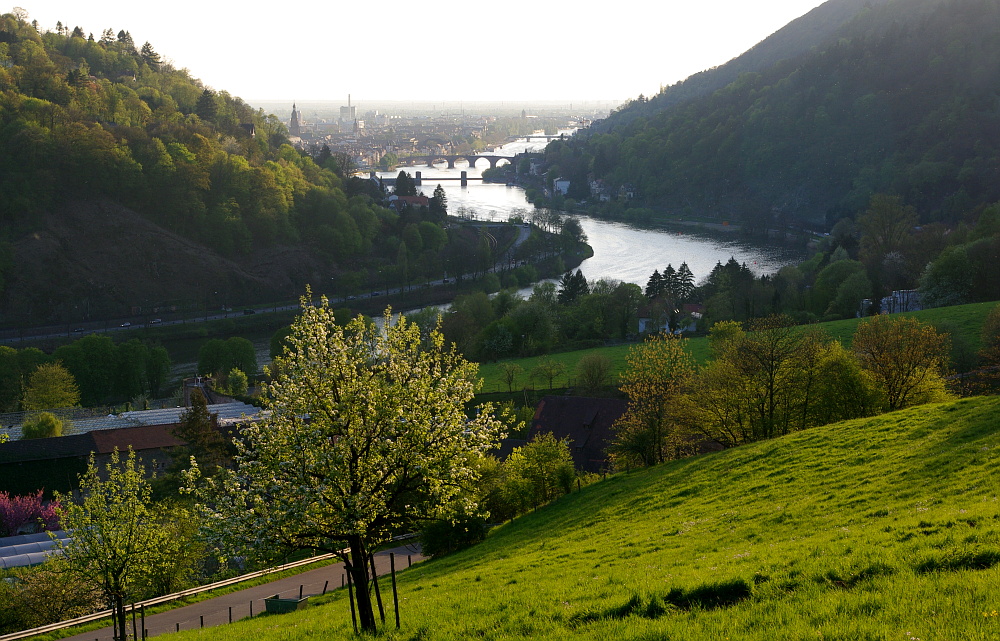 Frühlingsabend