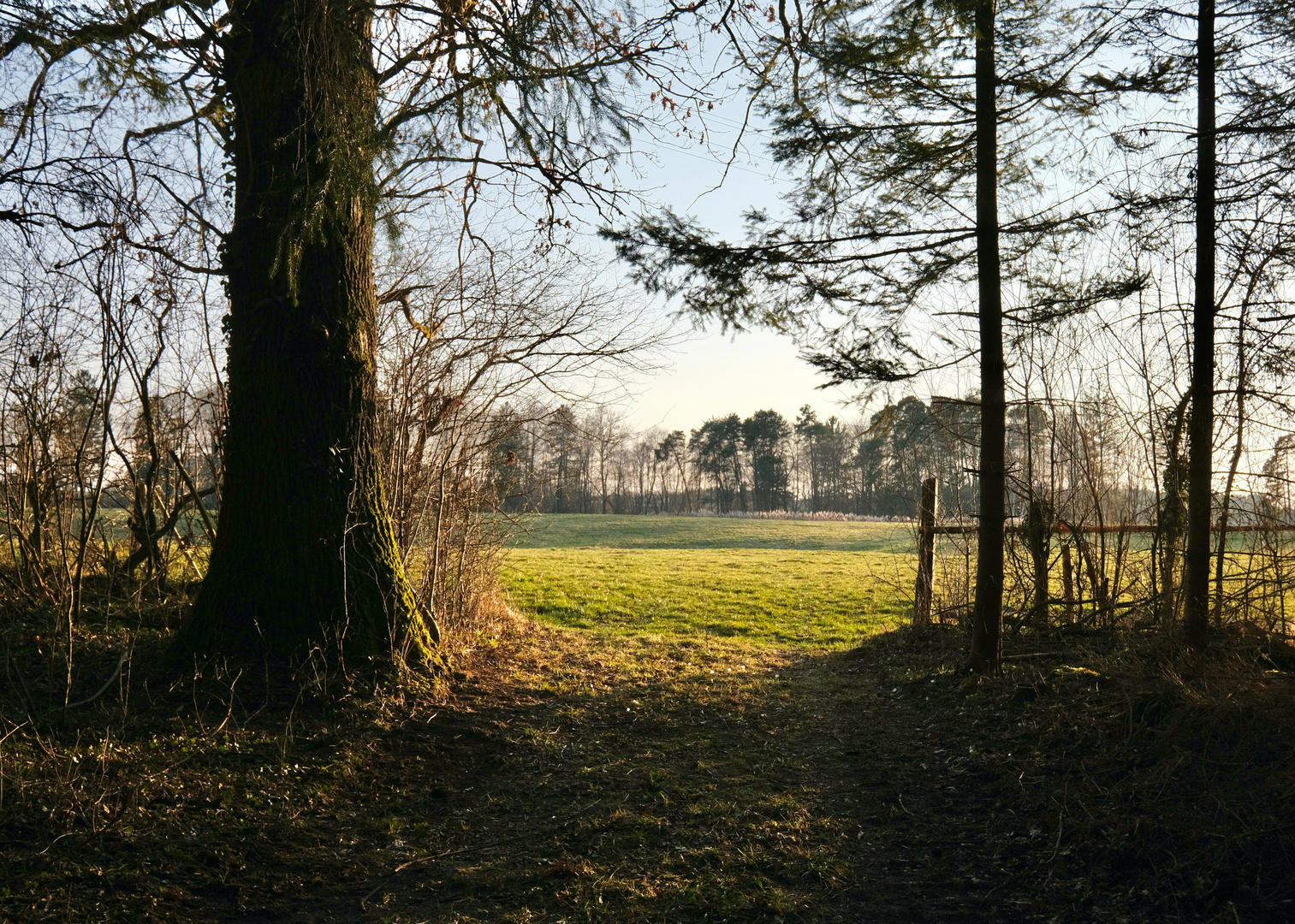 Frühlingsabend