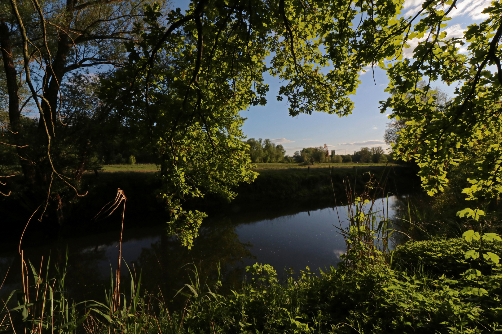 Frühlingsabend am Fluss