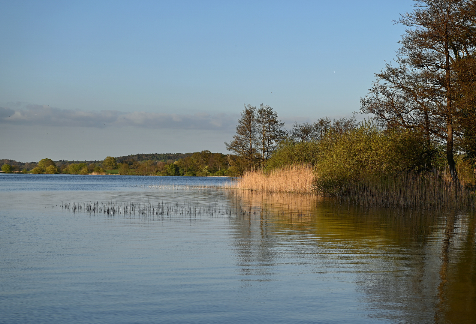 Frühlingsabend am großen Segeberger See