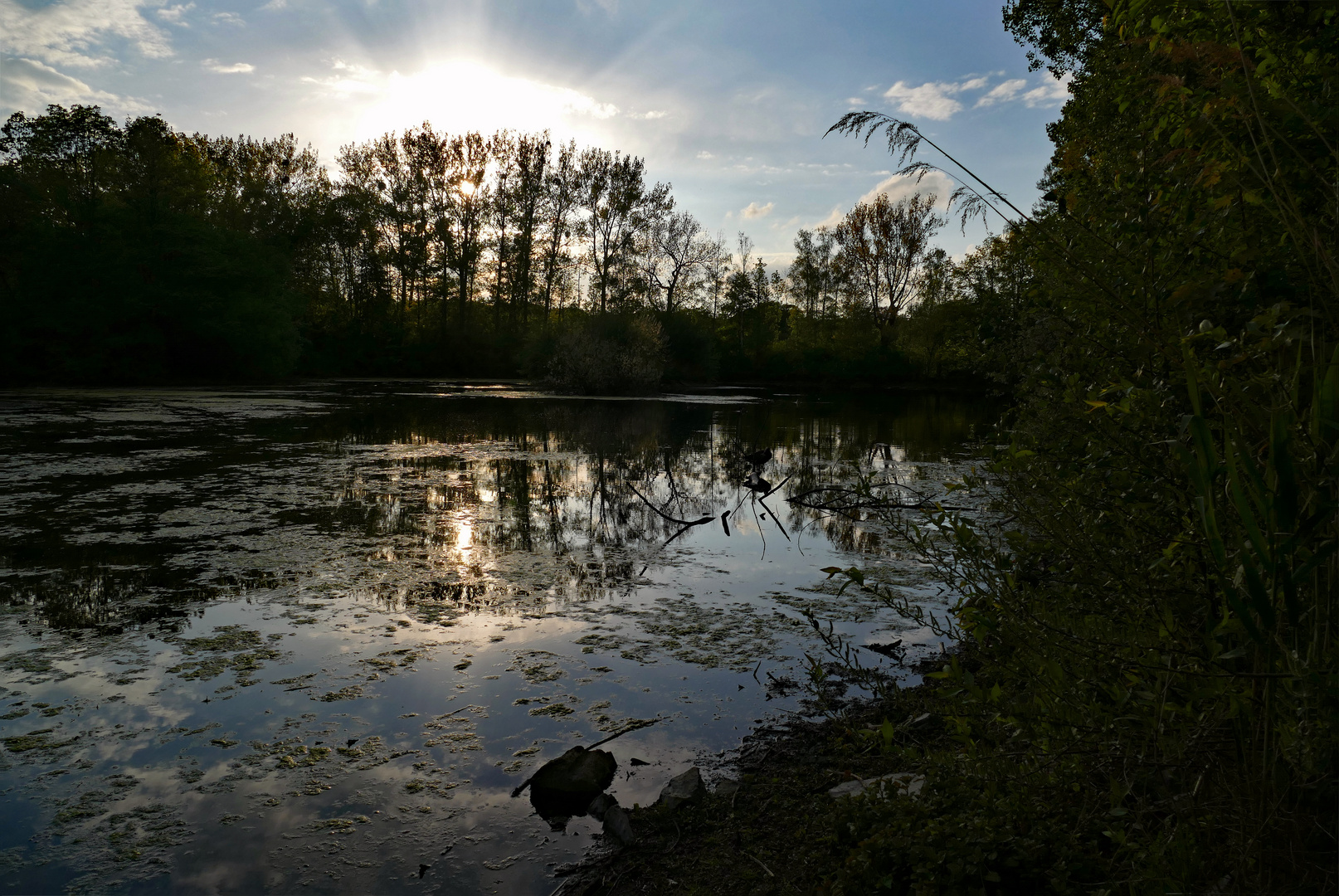 Frühlingsabend am Lünischteich