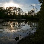 Frühlingsabend am Lünischteich