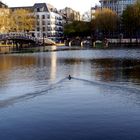 Frühlingsabend am Mediapark  in Köln (1)