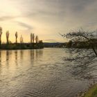 Frühlingsabend am Oberrhein