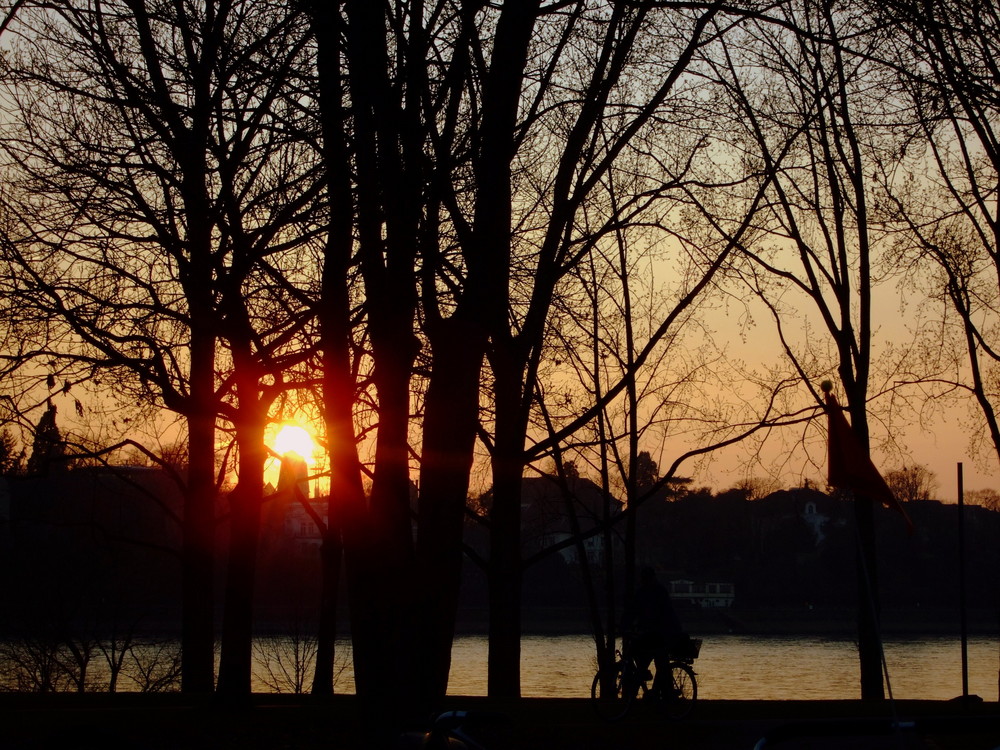 Frühlingsabend am Rhein