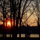 Frühlingsabend am Rhein