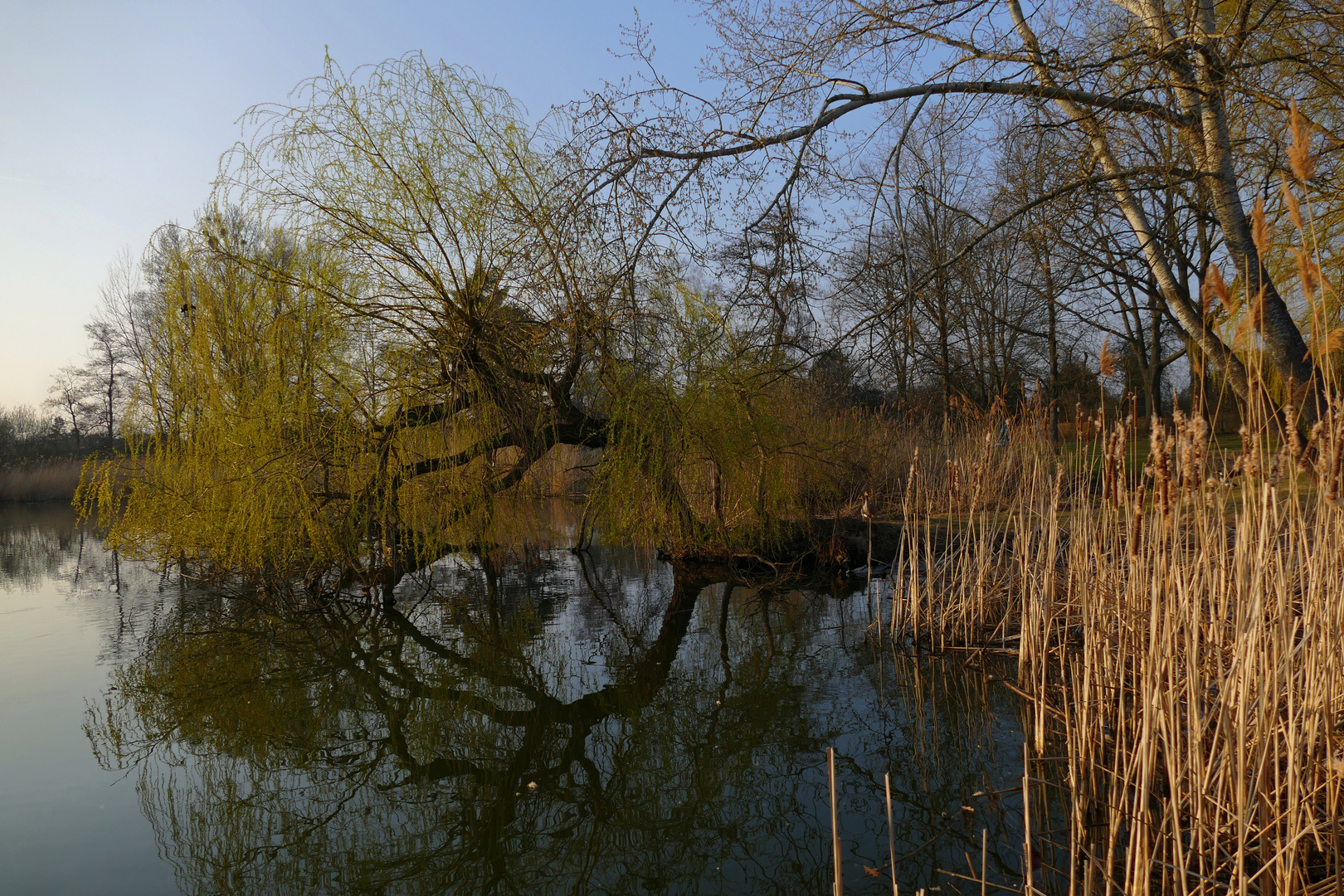 Frühlingsabend am See