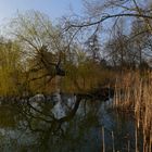 Frühlingsabend am See