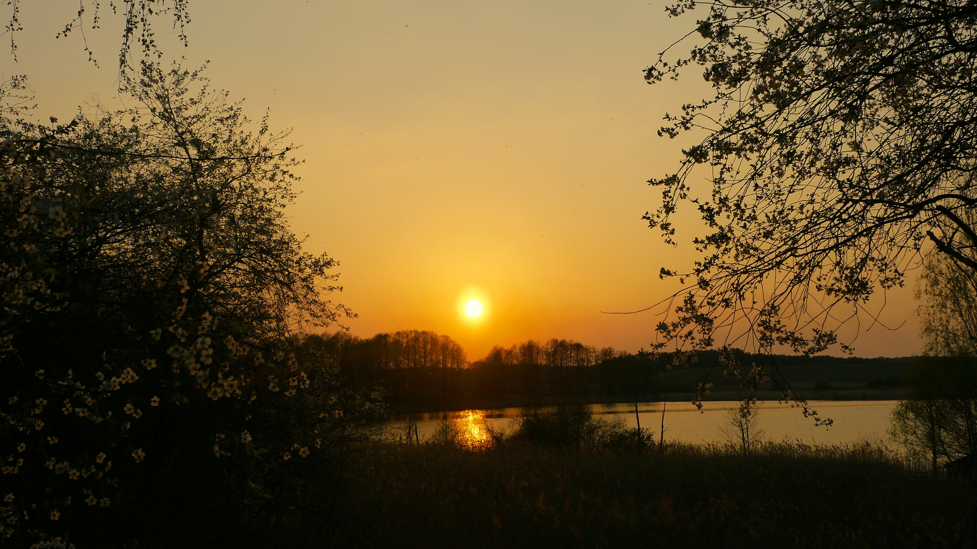 Frühlingsabend am See