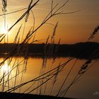 Frühlingsabend am See