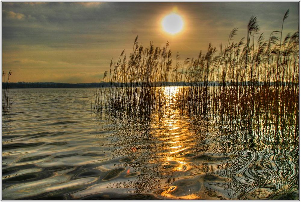 Frühlingsabend am See