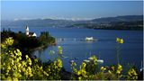 Frühlingsabend am Zürichsee di Jacky Kobelt