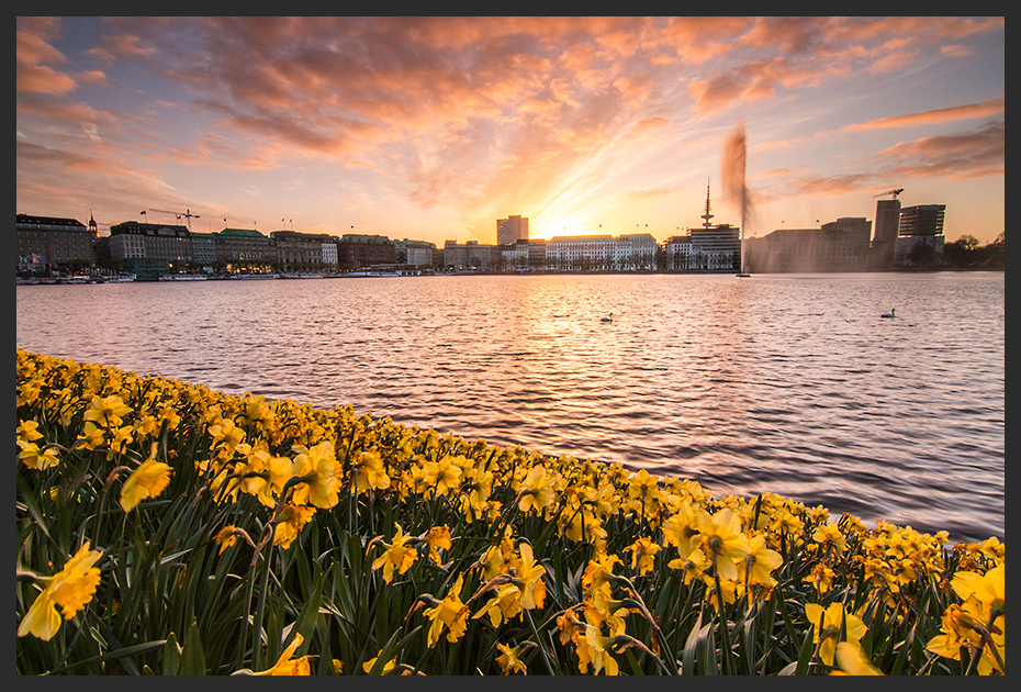 Frühlingsabend an der Alster