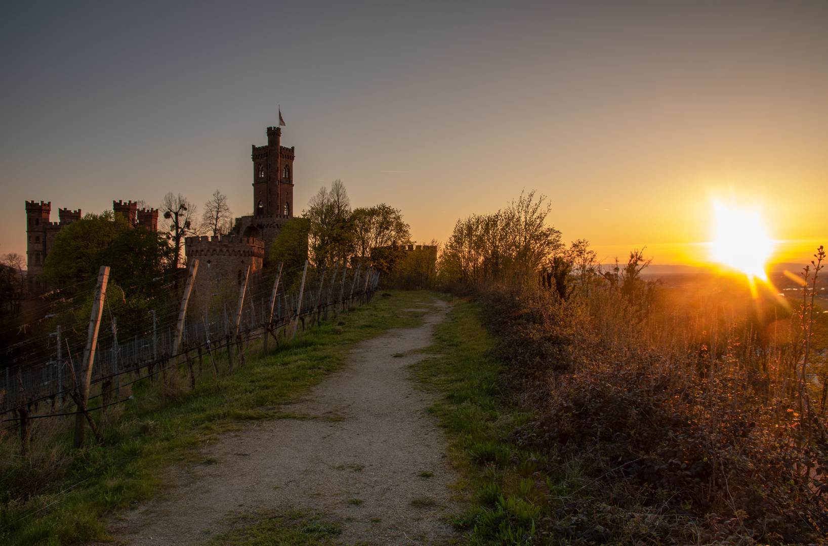 Frühlingsabend an der Ortenburg