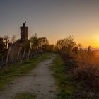 Frühlingsabend an der Ortenburg