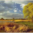 Frühlingsabend an einem See in Brandenburg