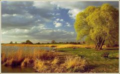 Frühlingsabend an einem See in Brandenburg