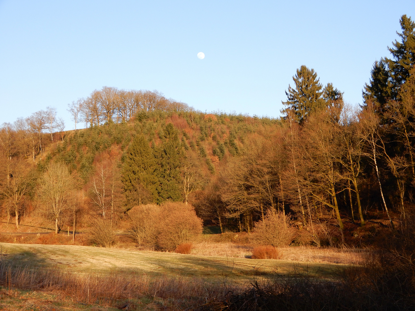 Frühlingsabend