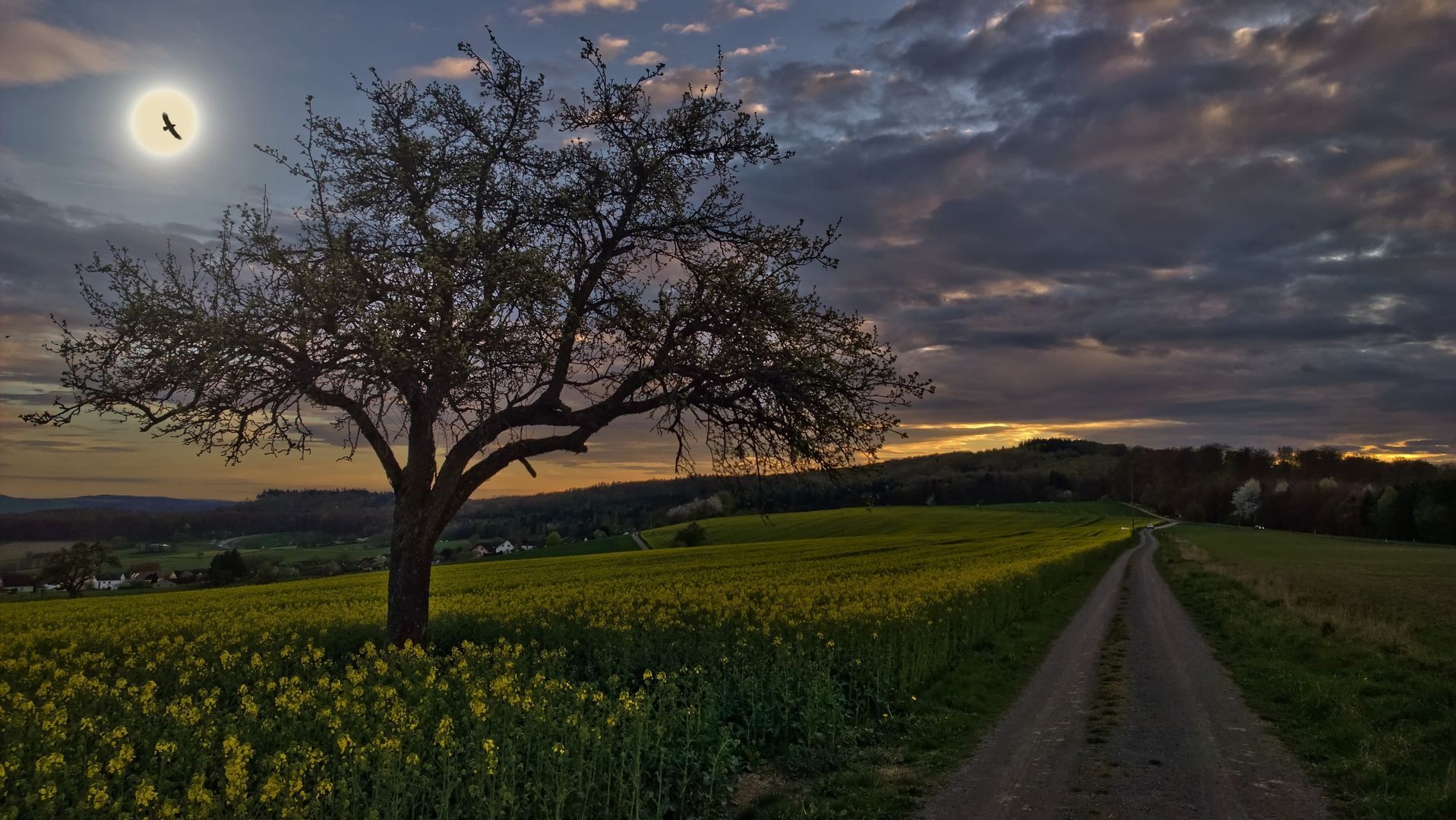 Frühlingsabend....