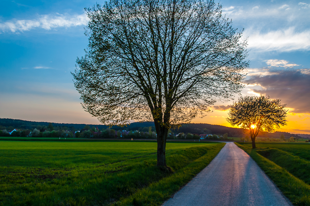 Frühlingsabend