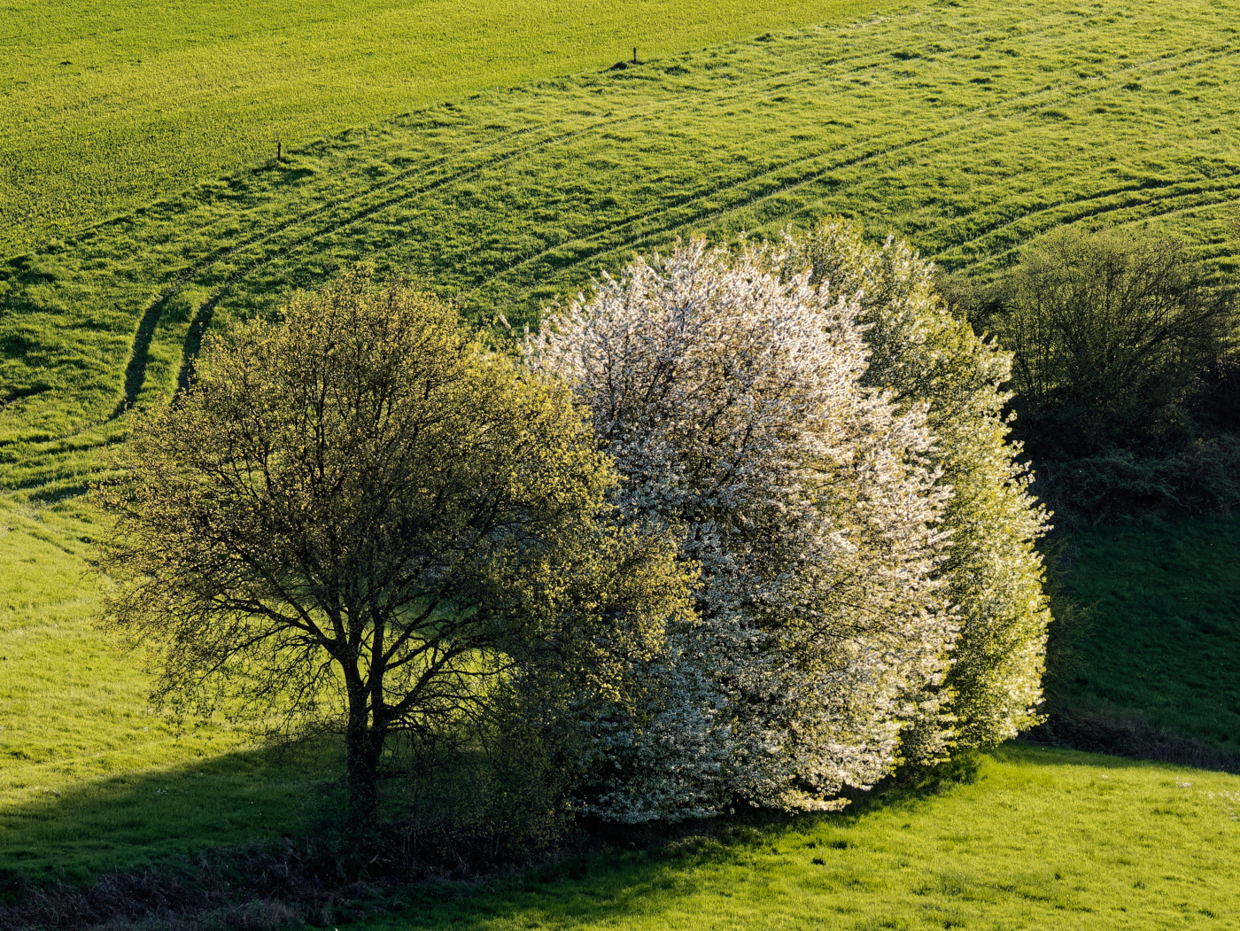 Frühlingsabend II