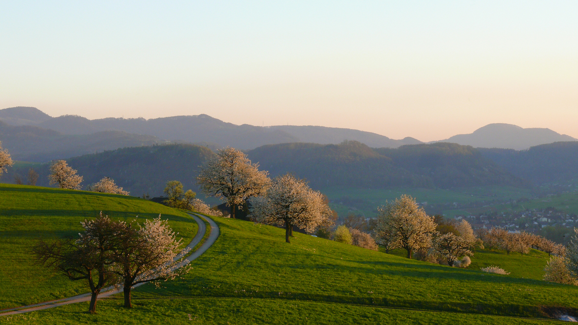 Frühlingsabend im Aargau