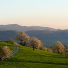 Frühlingsabend im Aargau