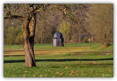 Frühlingsabend im Greizer Park..