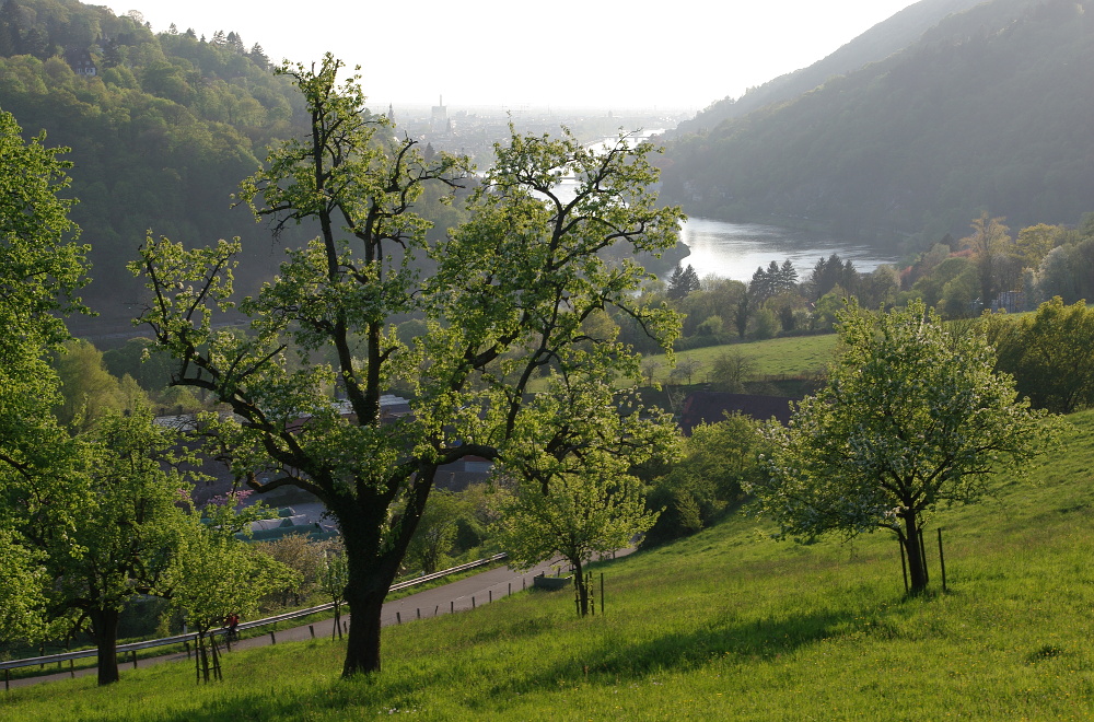 Frühlingsabend im Neckartal