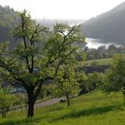 Frühlingsabend im Neckartal