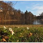 Frühlingsabend im Park