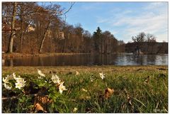 Frühlingsabend im Park