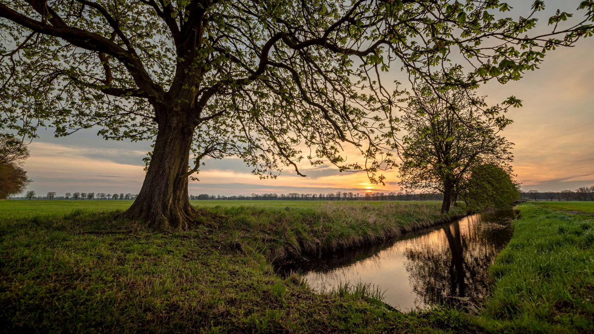 Frühlingsabend in der Lewitz