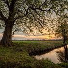 Frühlingsabend in der Lewitz