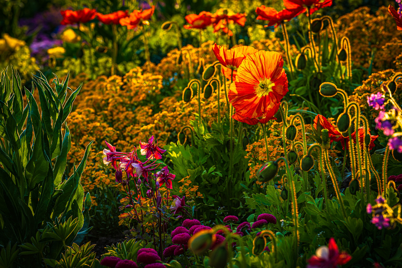 Frühlingsabend Insel Mainau