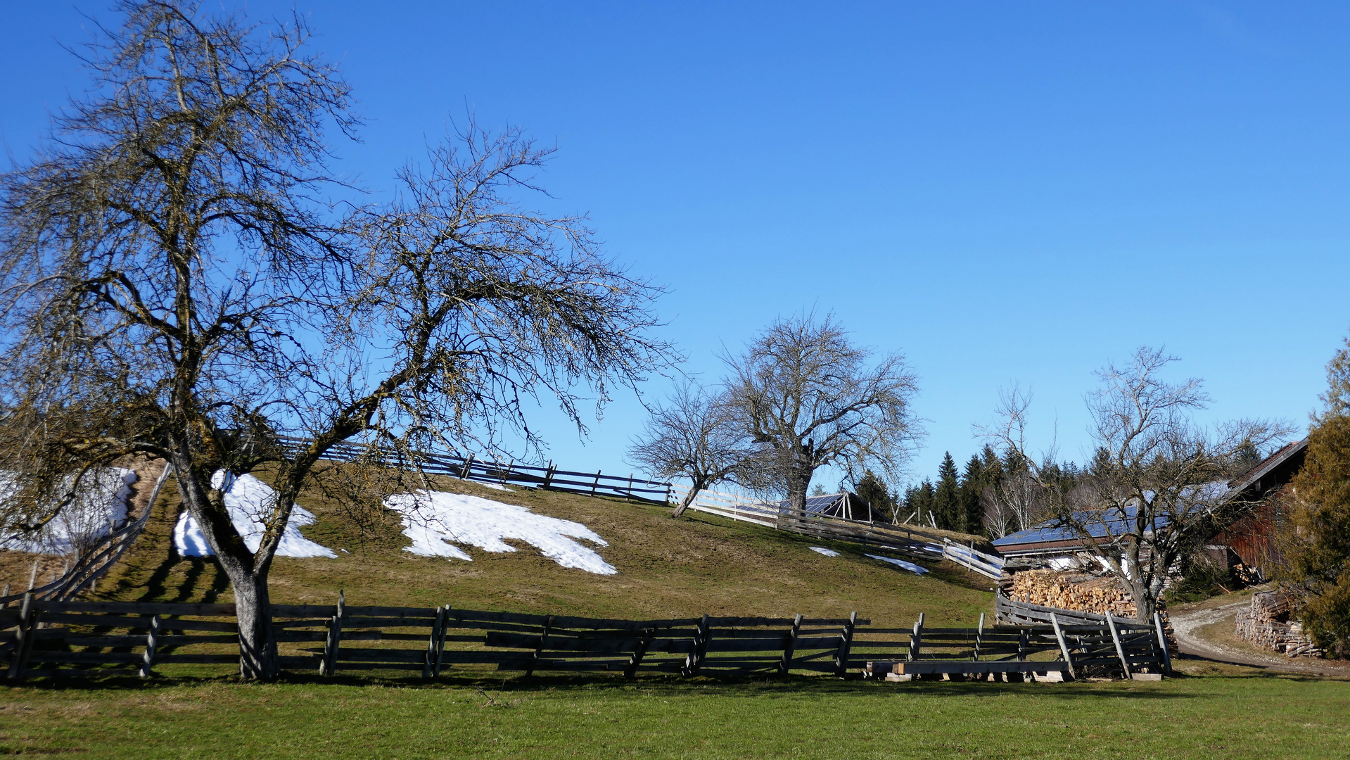 Frühlingsahnen