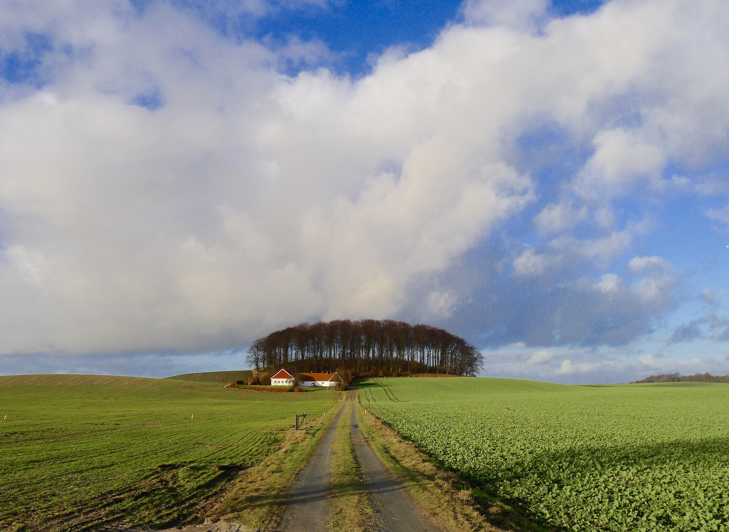 Frühlingsahnung