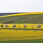 Frühlingsallee