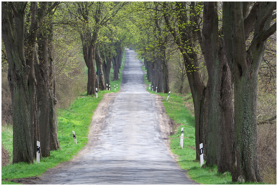 Frühlingsallee