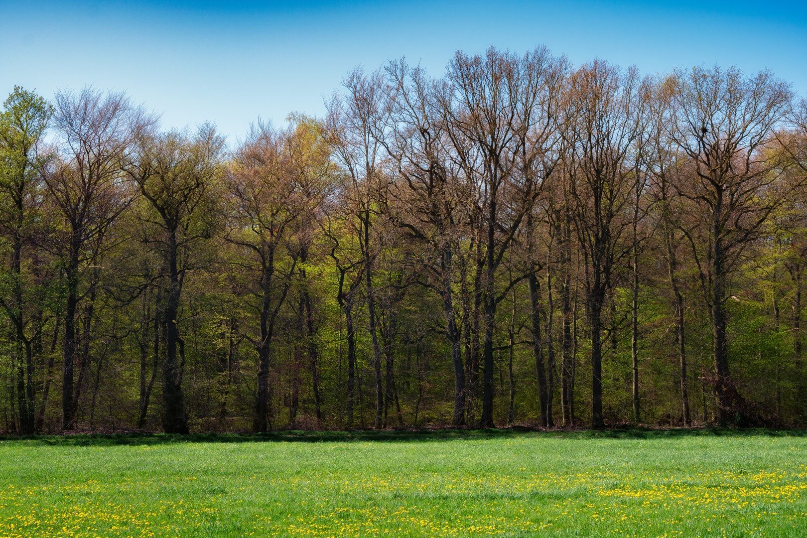 Frühlingsanfang