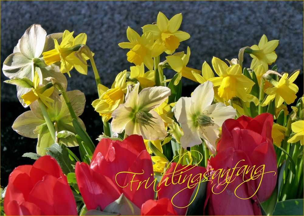 Frühlingsanfang 2024 Bilder: Erwecke die Schönheit des Frühlings zum Leben!