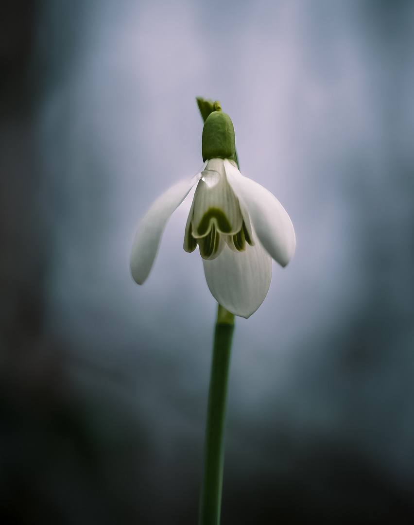 Frühlingsanfang…