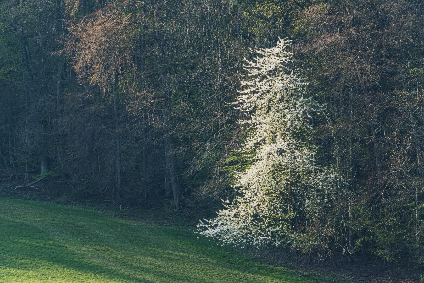 Frühlingsanfang